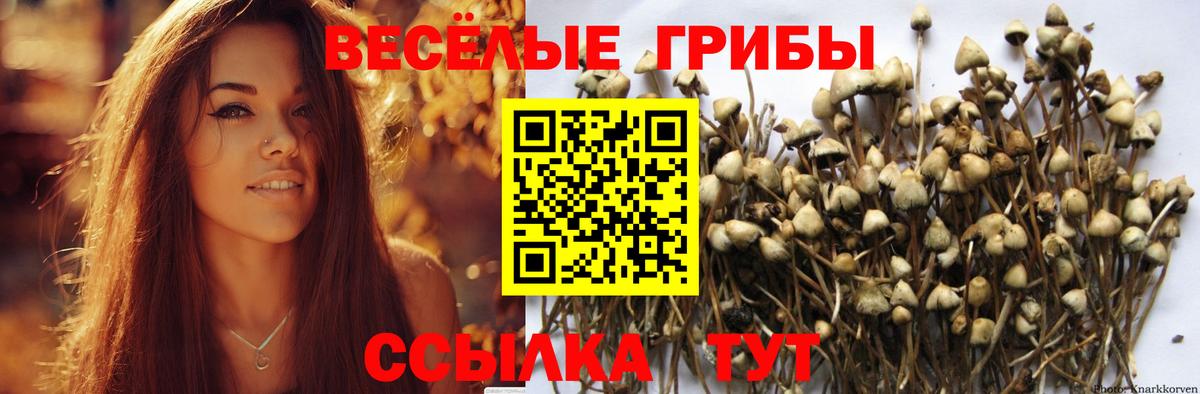 Ахтубинск  Псилоцибиновые грибы GOLDEN TEACHER  Галлюциногенные грибы Magic Shrooms  Вход с VPN 