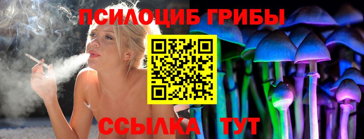 Галлюциногенные грибы Psilocybe Ахтубинск